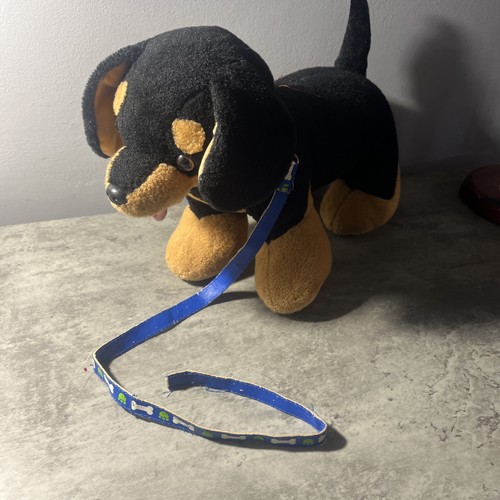 Build bear promise - a, bear,