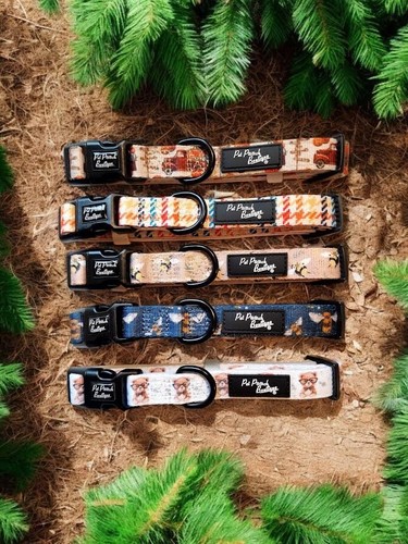 Luxury puppy dog collar - luxury,