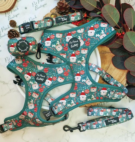 Jolly bear christmas dog - christmas,