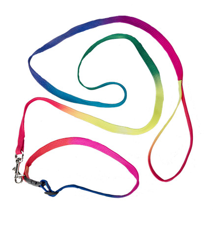 Rainbow collar leash - rainbow, lead