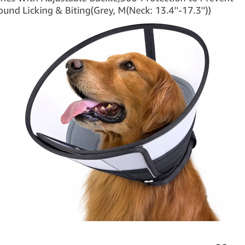 Romantic bear soft - romantic, cone