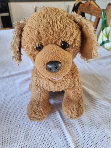 Build bear springer spaniel - build, a