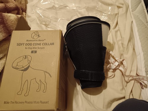 Romantic bear dog cone - dog, collar