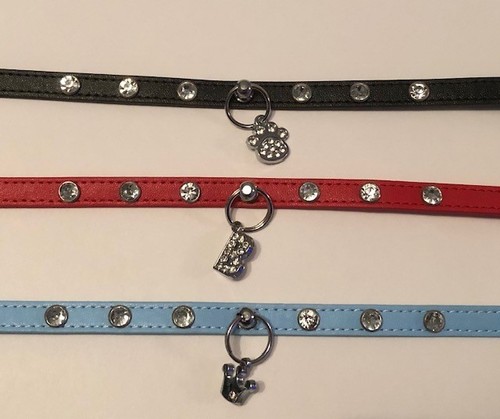 Personalised studded dog - personalised,