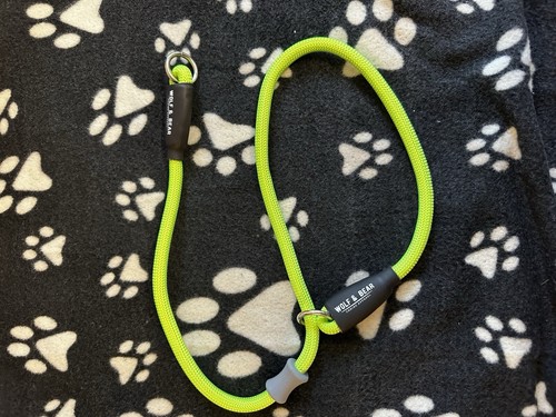 Wolf bear training collar - bear,