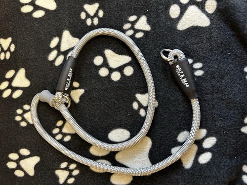 Wolf bear training - bear, collar