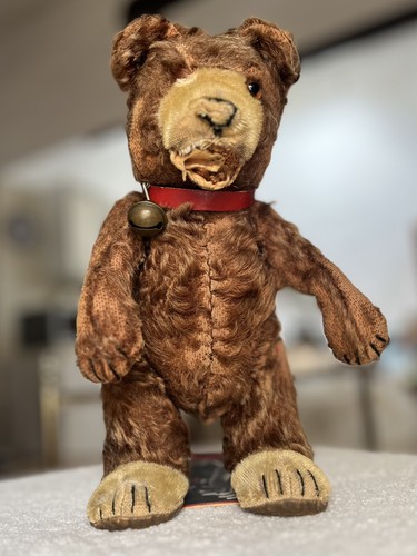 Vintage 1950s steiff teddy - 1950s,