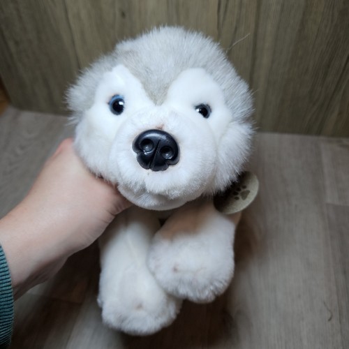 Keel toys storm husky dog - husky, blue